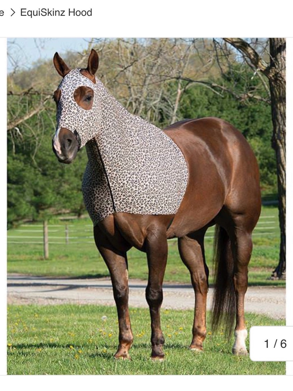 Leopard Print Weaver Horse Hood